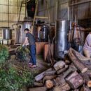 WHO summit aims to unlock power of traditional medicine through science