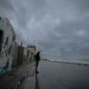 Israeli-Palestinian death toll highest since 2005: UN envoy