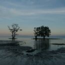 Scorching ‘new normal’ as world buckles under extreme heat: WMO