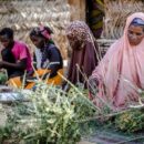UN agencies continue to deliver aid in Niger