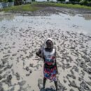 ‘Close the climate ambition gap’ says UN chief ahead of COP28