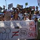 World News in Brief: Delivering on health at COP28, aid for north Darfur, food standards watchdog turns 60