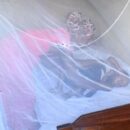 Climate change risks upending global fight against malaria