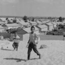 Stories from the UN Archive: The origin of #PalestineDay