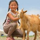 Report card 2: Half-way to the global goals deadline