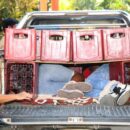 Global cooperation critical to combat transnational organized crime