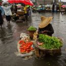 Global agrifood systems are the climate solution, new FAO report highlights 