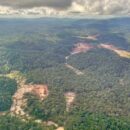 COP28: UN chief previews panel on management of minerals essential for green energy transition
