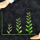 A Blueprint For Sustainability Training For Organizational Growth