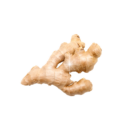 Životabudič zvaný zázvor