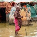 World News in Brief: Response plan for Somalia launched, mass executions in Iraq, new European heat record