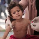 Gazans ‘hanging by a thread’, warns WFP