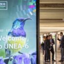 What is the UN Environment Assembly and why does it matter?