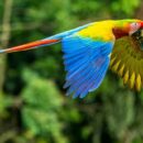 Senior officials call for action and solutions at UN Environment Assembly