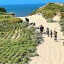 Climate-affected Madagascar adapts to new reality: A Resident Coordinator blog