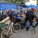 Aid delivery to Gaza drops by half since January: UNRWA