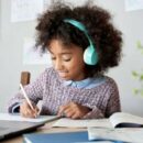 Young Minds Online: How Kids Perceive Virtual Classrooms