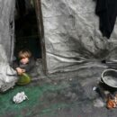 Gaza: Efforts to deliver food aid to stricken north ‘largely unsuccessful’