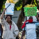 World News in Brief: Global trade rebound forecast, e-waste mountain grows, 7,000 preventable TB deaths in Europe during COVID-19