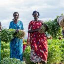 New $1.4 billion plan to support South Sudanese refugees