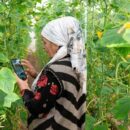 World News in Brief: Climate change in the countryside, Yemen polio drive success, development and peace