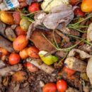With 783 million people going hungry, a fifth of all food goes to waste