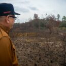 Indonesia leads the way in taming forest fires