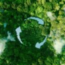 International Mother Earth Day: How Can Businesses Support Environmental Awareness?