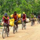 Massive investment and financial reform needed to rescue SDGs