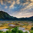 Hungry for data: Tackling food insecurity in rural Indonesia