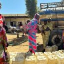 Sudan: Aid lifeline reaches Darfur region in bid to avert ‘hunger catastrophe’