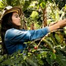 UN chief calls for all hands on deck at Climate Promise 2025 launch