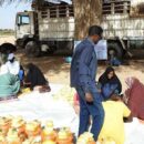 World News in Brief: Violence blocking Darfur aid, new Iraq law, Chad elections appeal