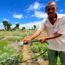 Madagascar: Coordination, convergence and change from the grass roots up