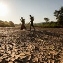 Droughts and floods threaten ‘humanitarian catastrophe’ across southern Africa