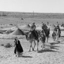 Stories from the UN Archive: UN camel caravans deliver