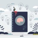 Applying Neuroeducation Principles In Learning Environments For Optimal Classroom/Curriculum Design