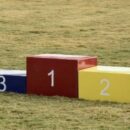 What's Hot In L&D: Exploring The Global Sentiment Survey With Donald H. Taylor