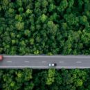 Custom Online Employee Safety Training Program: A Quick Guide And Case Study