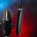 Collaboration Between Voice Actors And Instructional Designers
