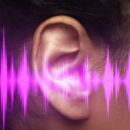 The Science Of Sound: How Voice Impacts Cognitive Retention