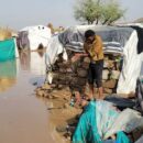 Internally displaced families in Yemen need increased aid: UNHCR