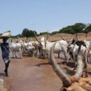 Climate crisis: Satellites and AI offer hope for global action, says UN weather agency