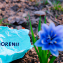 Projektově orientované učení