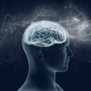 How To Apply Cognitive Science In Instructional Design
