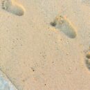 Protecting The Digital Footprint Of Children And Exploring Responsible Online Behavior