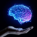 The Role Of Emotions And Artificial Intelligence In Designing Successful Blended Learning Concepts