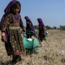 The world must step up for girls, UN chief says
