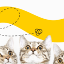 How To Write An Attention-Grabbing Press Release: Expert Tips And Tactics (Plus Templates)