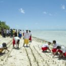 Carbon markets could boost climate action in least developed countries